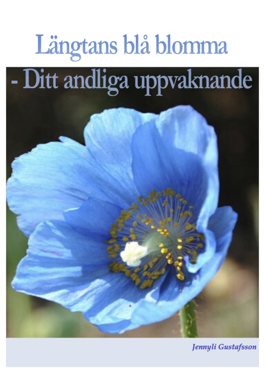Längtans blå blomma - budskap inför 2012